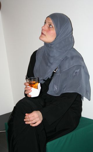 SIAN vil ha forbud mot bruk av hijab i det offentlige rom. Begrunnelse: Hijab er et islamsk demonstrasjonsplagg.