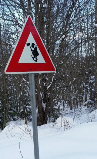 Øksesvinger i Hunndalen. Når spyrjast det etter spjot i Norge?